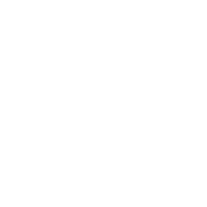 Lig/Sponsor Logo