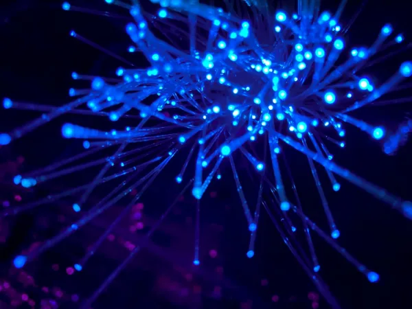 Fiber İnternet Teknolojisi ve Dijital Dönüşümün Temelleri
